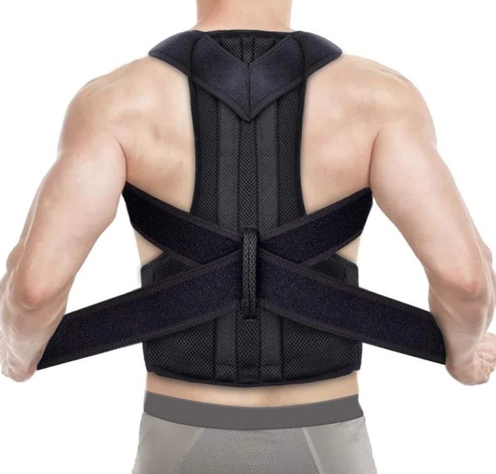 Back support brace worn at the waist